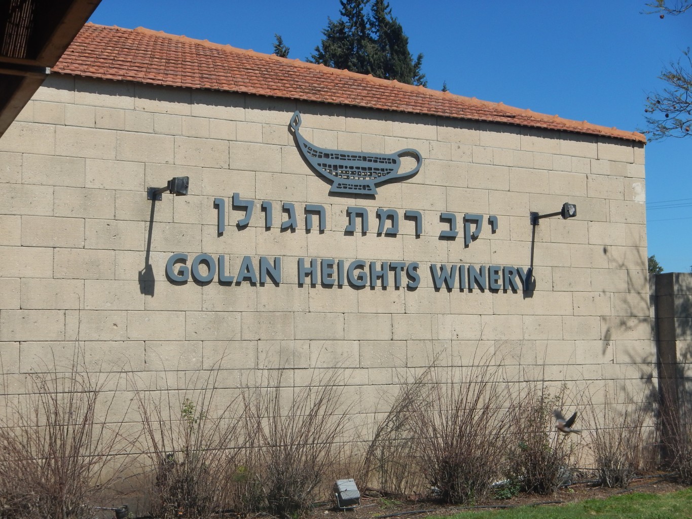 Golan-Heights-Winery