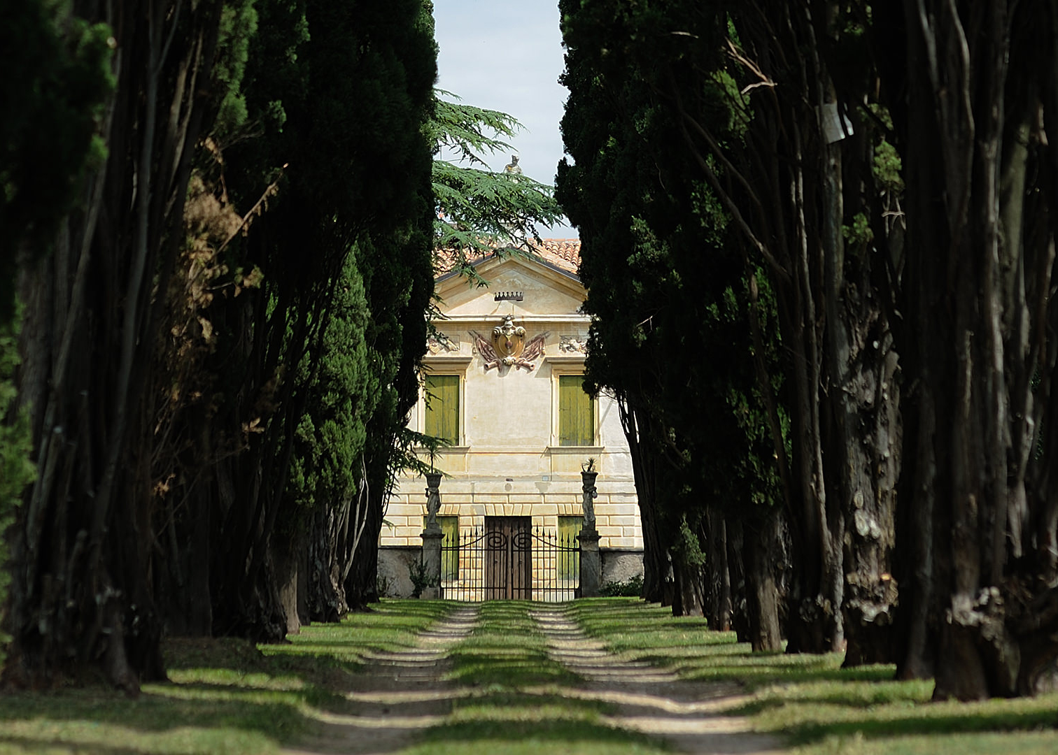 Pieropan Villa view between the trees